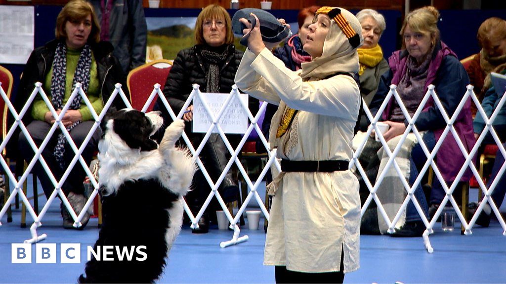 bbc crufts