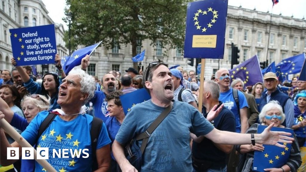 Brexit Protest: March For Europe Rallies Held Across UK - BBC News