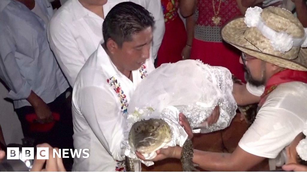 Watch: Mexican mayor weds crocodile in harvest ritual