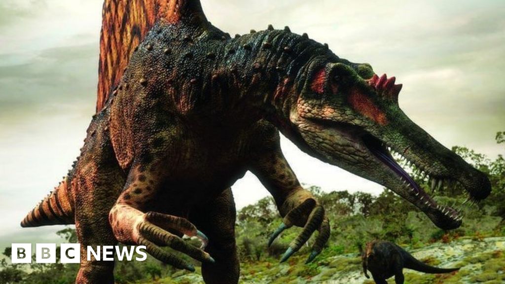 Spinosaurus dinosaur was 'enormous river-monster', researchers say
