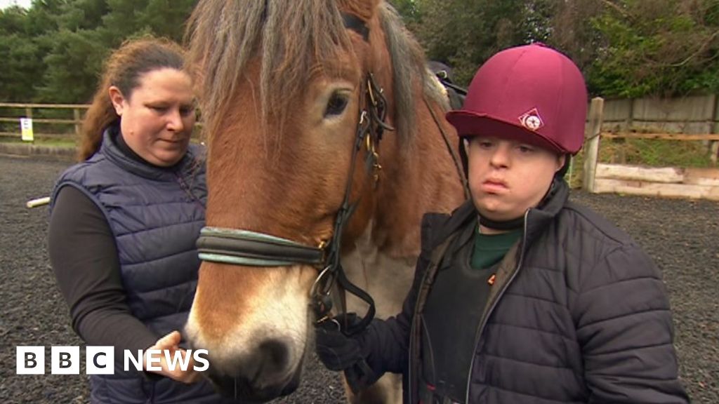 Joy as riding school for disabled students finds new horse