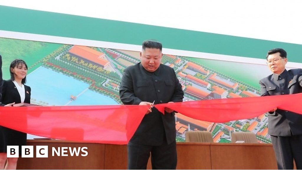 Kim Jong-un shown on state media after absence