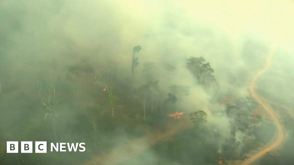 Amazon fires: The devastation seen from above