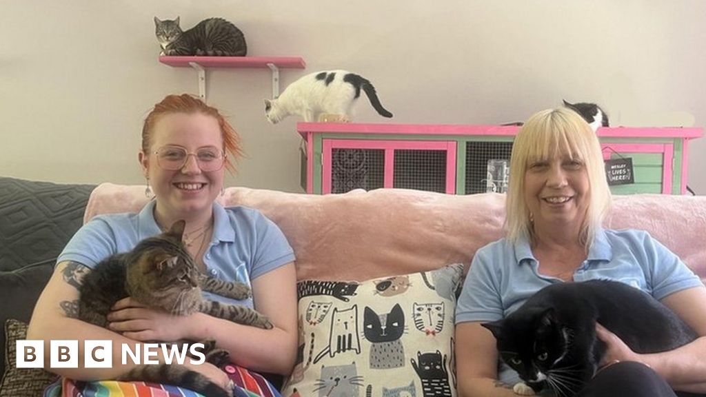 Cats: The mum and daughter living with more than 70 pets