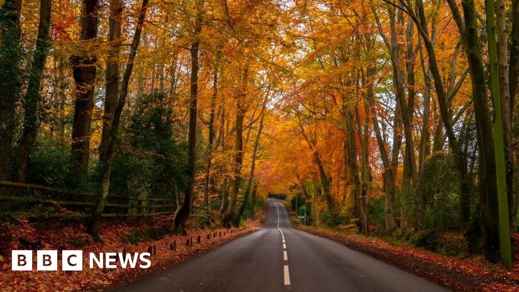 11 november uk holiday