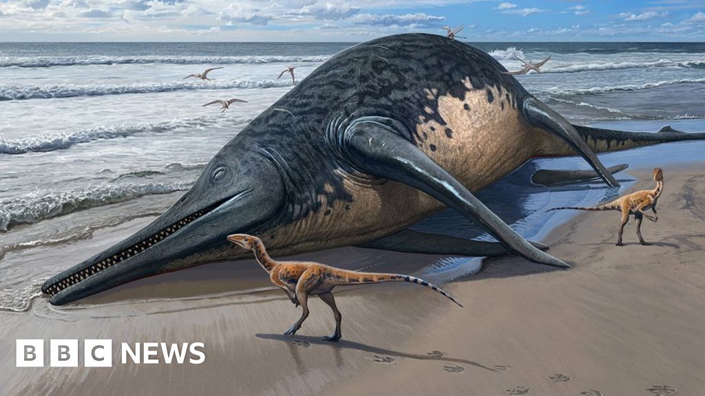 巨大な古代の海洋爬虫類がアマチュアの化石発見によって特定された