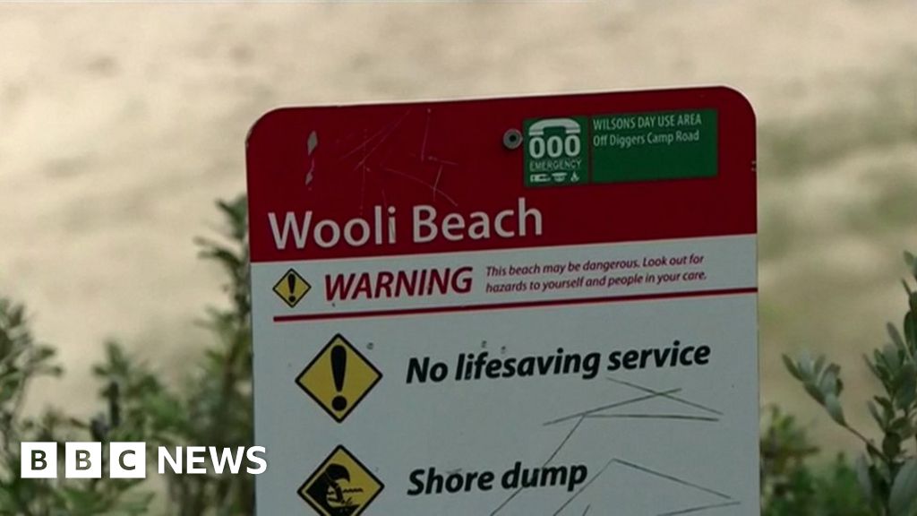 Shark kills teenage surfer in Australia's New South Wales - BBC News