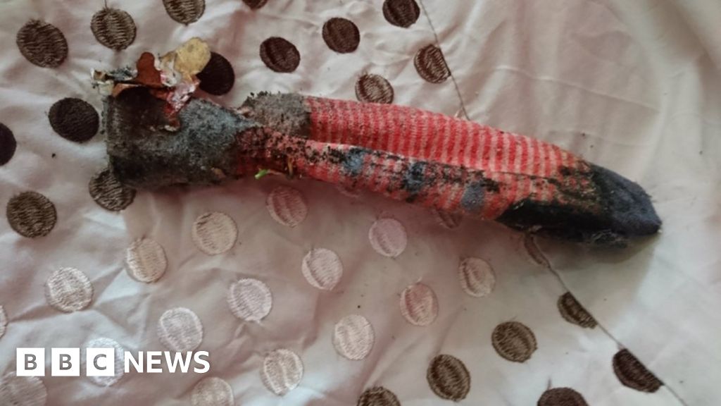 RSPCA called to rescue lizard that turns out to be a sock