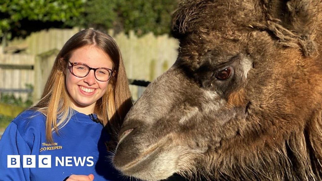 Zookeeping: 'I live my dream every single day'