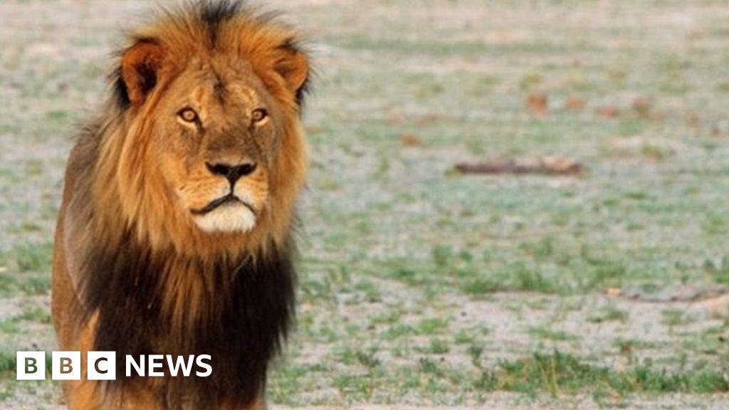 Horrifying details surface about Cecil the lion's gruesome death