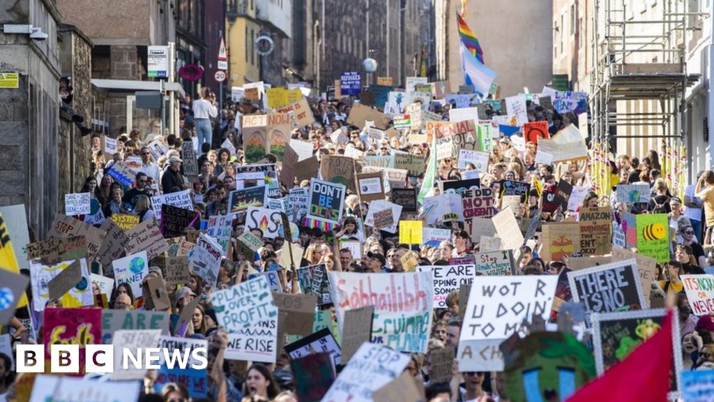 What is Collins Dictionary's 2019 word of the year? - BBC News