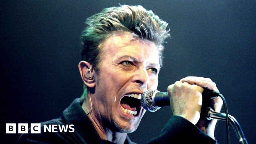 Hyenas and wild pigs feature in new David Bowie remix