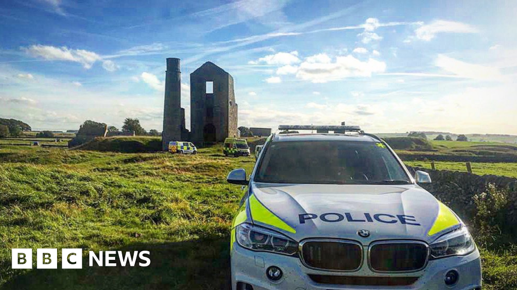 Cow trampling leaves woman critical and dog dead