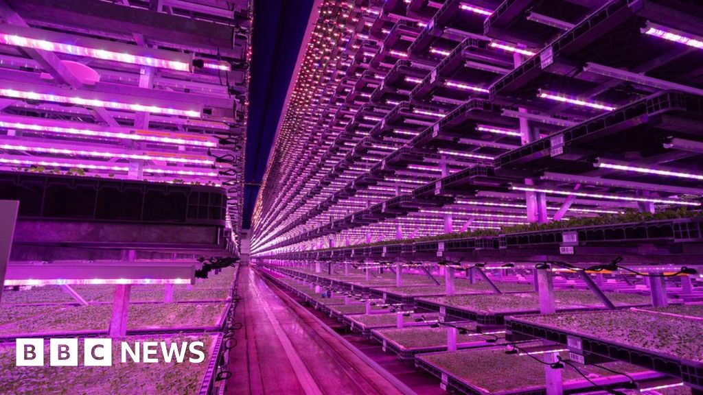 Gloucestershire vertical farm is one of UK's 'most advanced'