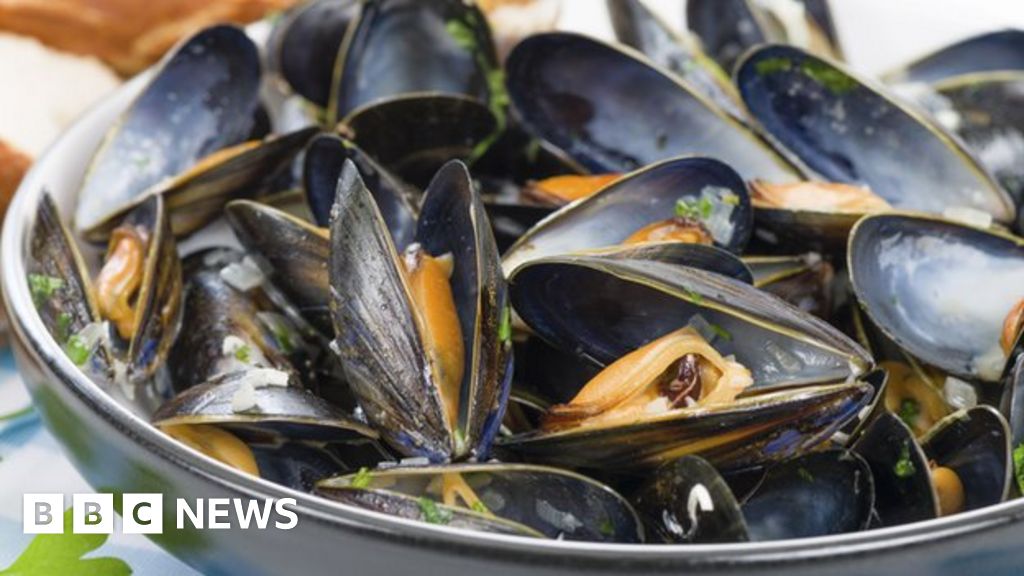 Mussels recalled from sale over toxin level fears BBC News