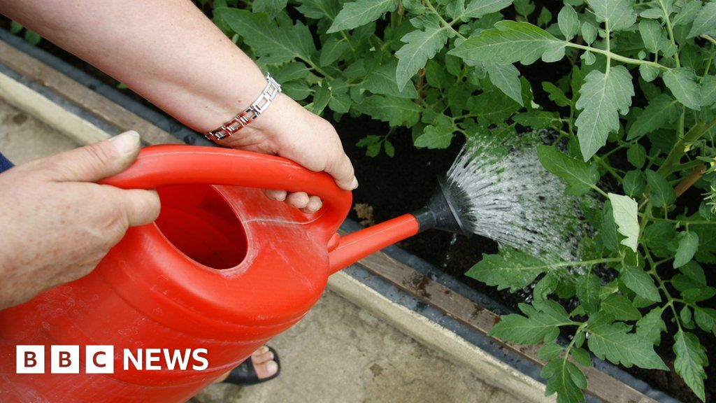 Guernsey Water and Guernsey Waste call for safe chemical disposal BBC