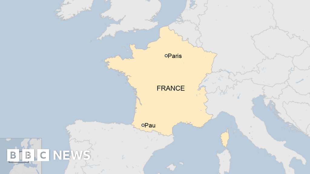 Pau attack: Immigration official stabbed to death in France