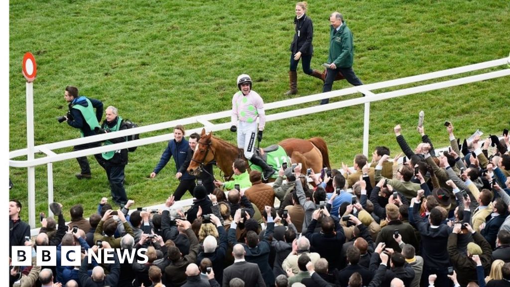 Cheltenham Festival cancels booking in footballer urine row - BBC News