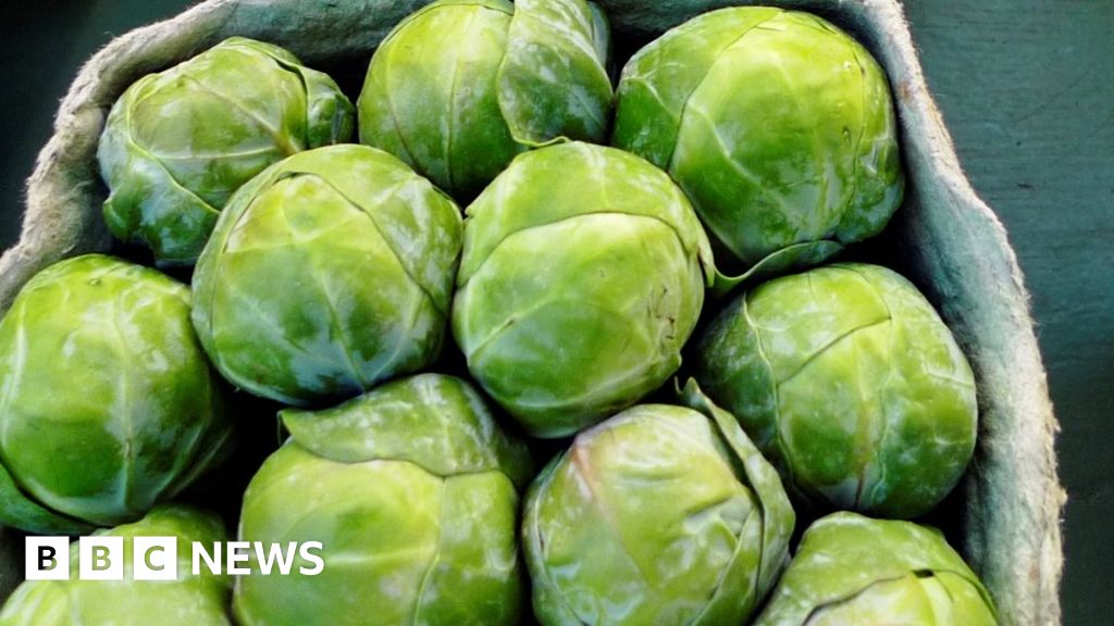Sprouts 'cheapest for half a decade' BBC News
