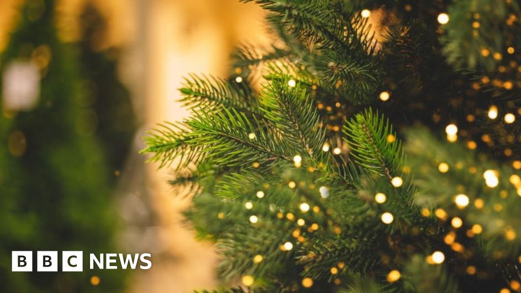 Kirklees Christmas trees face axe due to council cutbacks BBC News
