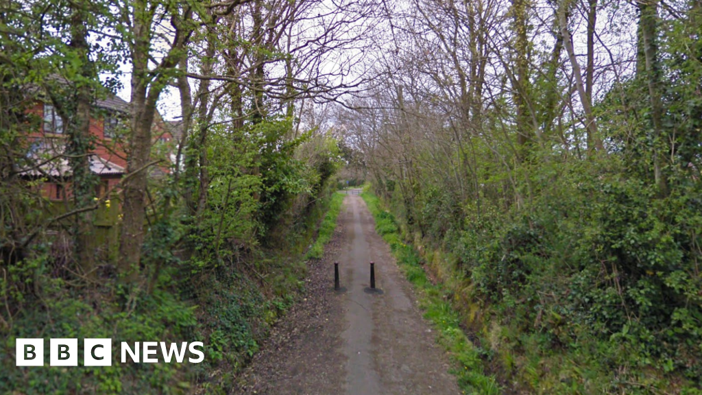 Arrest over attempted murder of tenyearold Exmouth girl BBC News