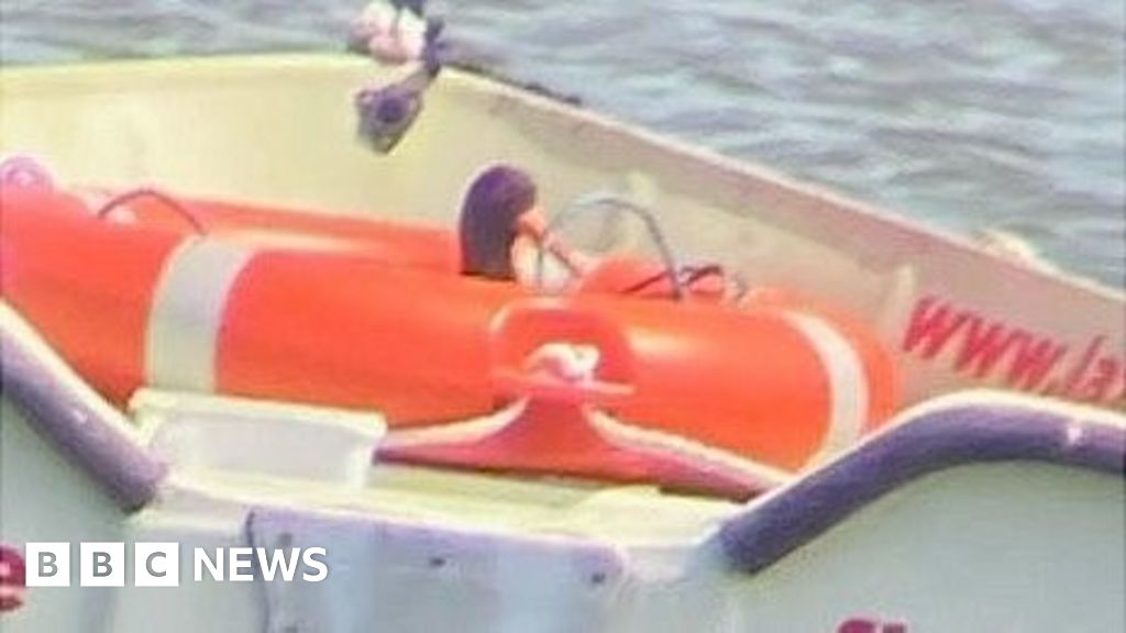 Oystercatcher nests on board New Forest nature tour boat - BBC News