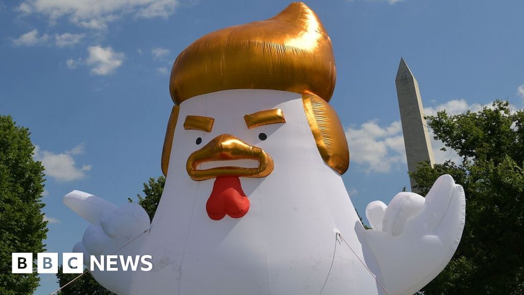 Trump-like chicken at White House ruffles feathers on Twitter