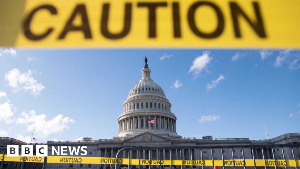 US government partially shuts down over border wall row