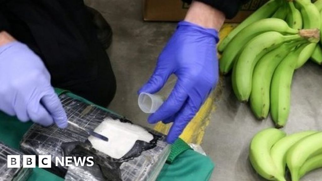 Pure cocaine found in banana crates