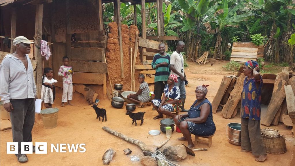 How farmers can end land disputes and produce more food BBC News
