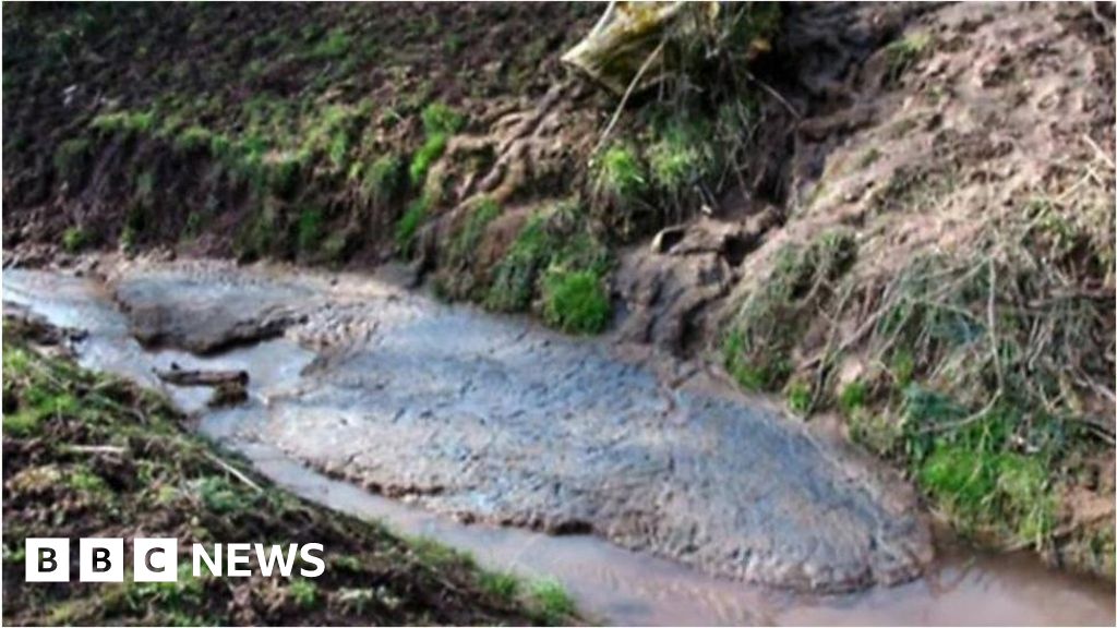 Afonydd Cymru shows what Wales' river pollution looks like BBC News