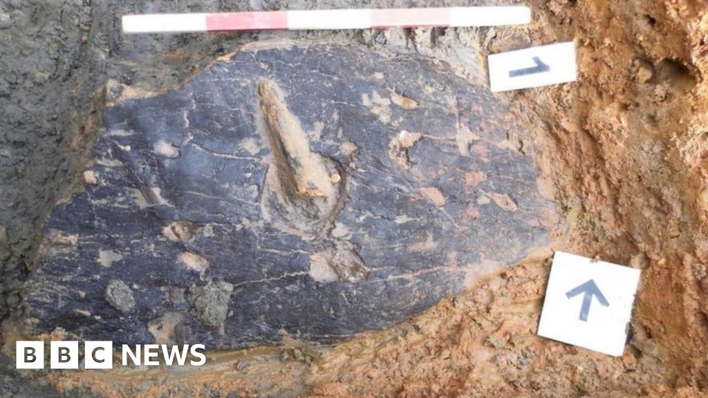 'Unique' Iron Age shield discovered in Leicestershire - BBC News