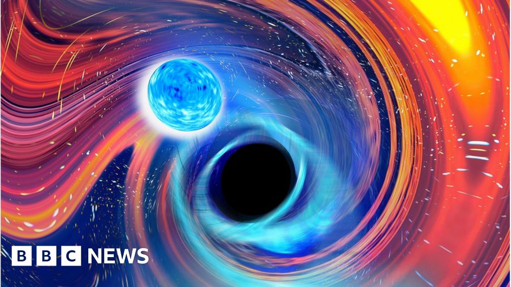 Rare black hole and neutron star collisions sighted twice in 10 days