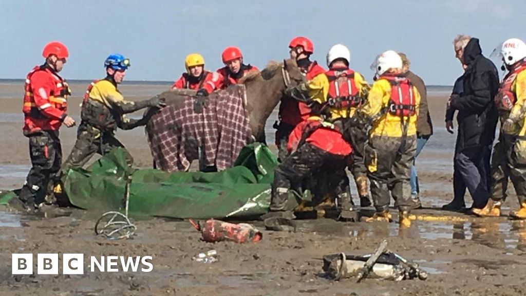 Dramatic moment two horses and riders rescued after four 