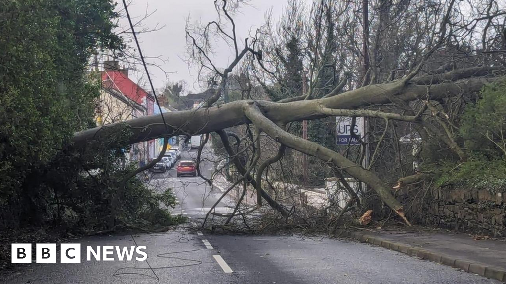 Storm Kathleen brings trees down and power outages