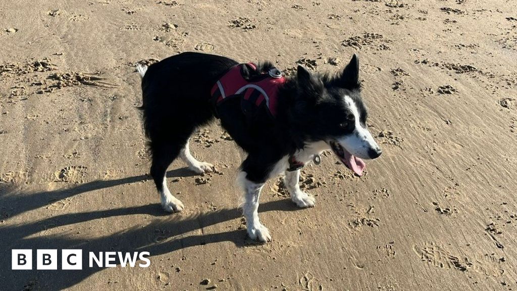 Fraisthorpe: Big turnout for dog's last trip to favourite beach