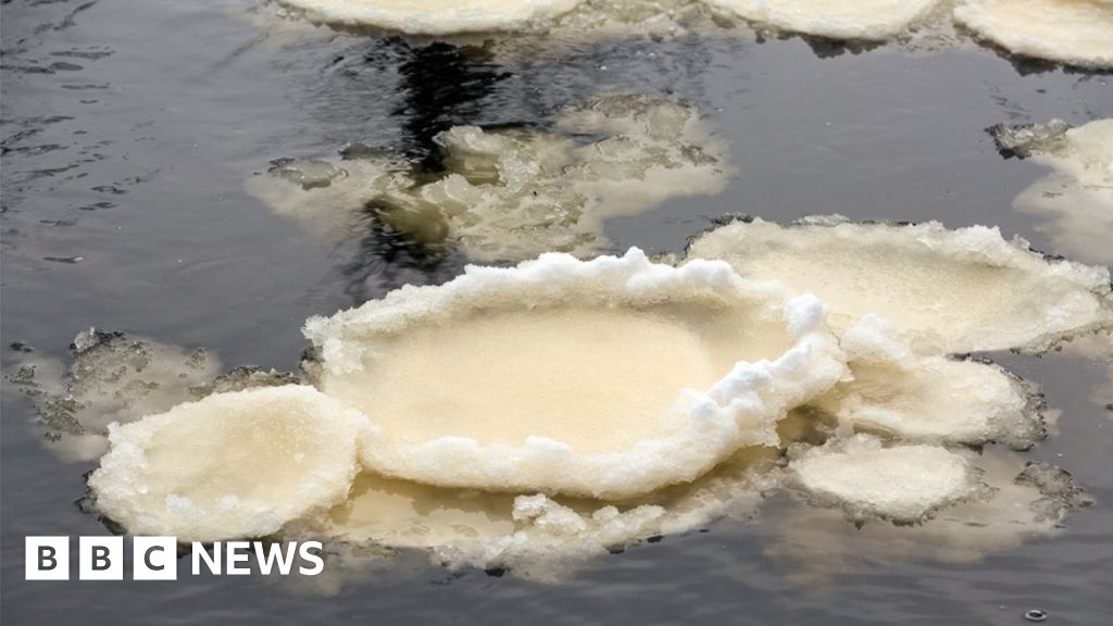Rare ice pancakes form on River Swale in Richmond