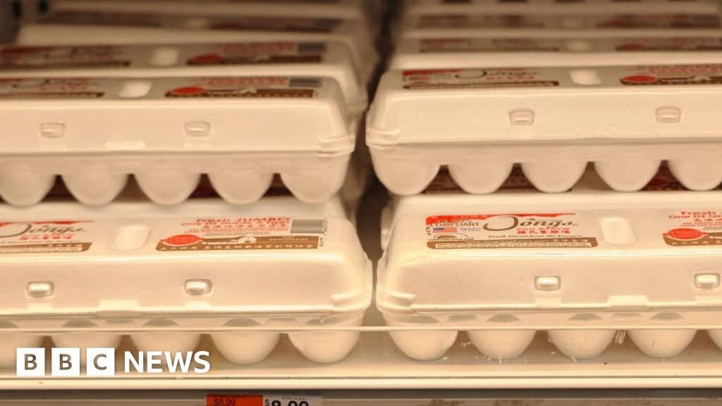 Egg smuggling busts at US border rise by more than 100%