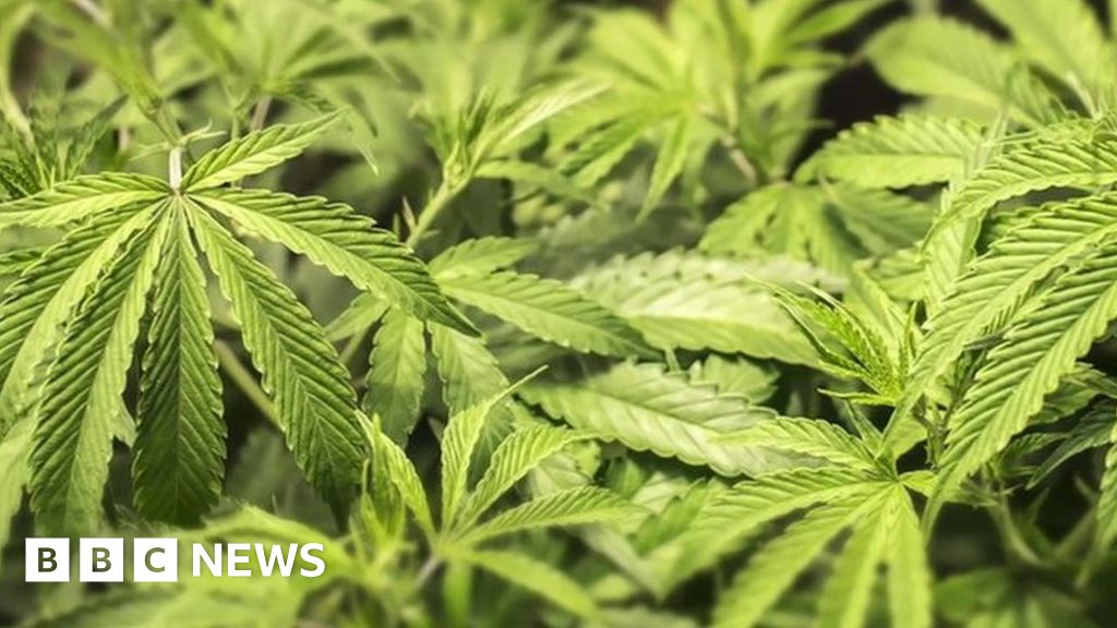 New cannabis laws for the Isle of Man