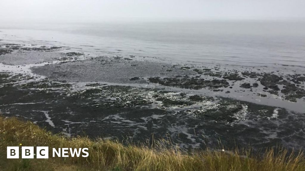 Birchington seaweed stench prompts health fears - BBC News