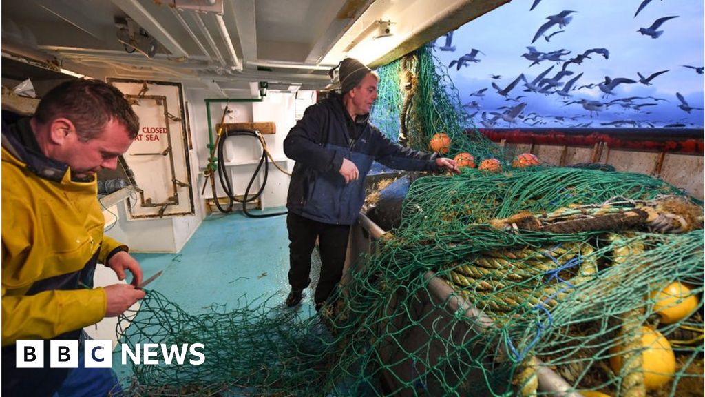 UK and Norway fail to reach fishing deal - BBC News
