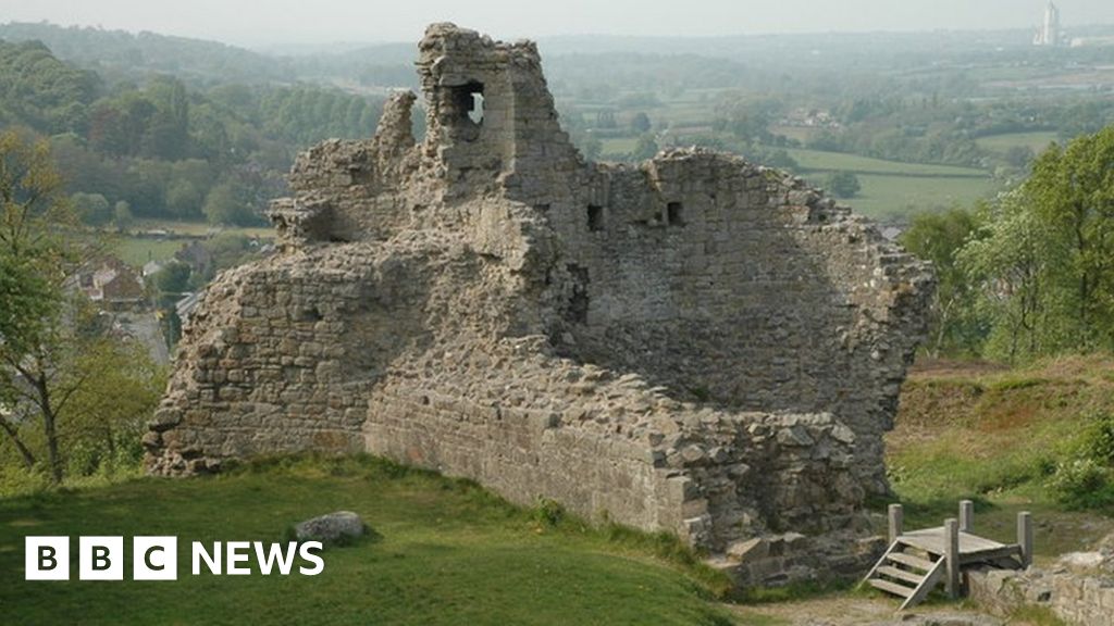 Caergwrle Castle 'don't eat blackberries' alert over herbicide - BBC News