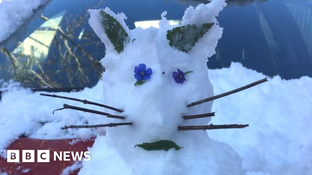 UK weather: Spring snow as parts of country hit by cold snap