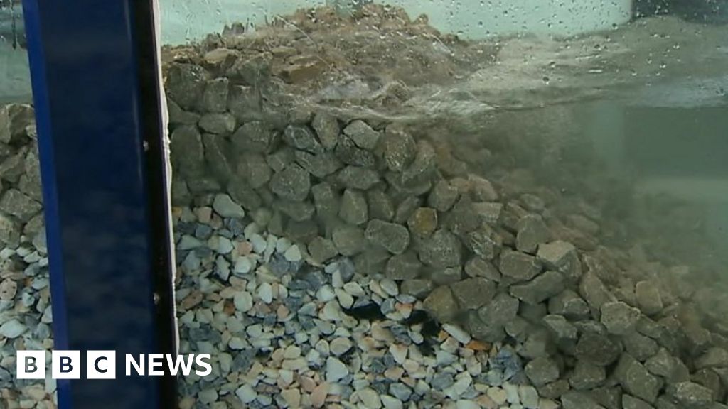 Swansea uni studies Wales' waves and tides with 30m tank BBC News