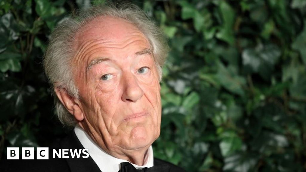 Harry Potter actor Sir Michael Gambon dies aged 82