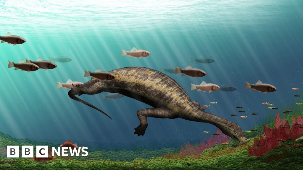 Fossil Mystery Reptile With An Unseen Crest Discovered - zxg70tk