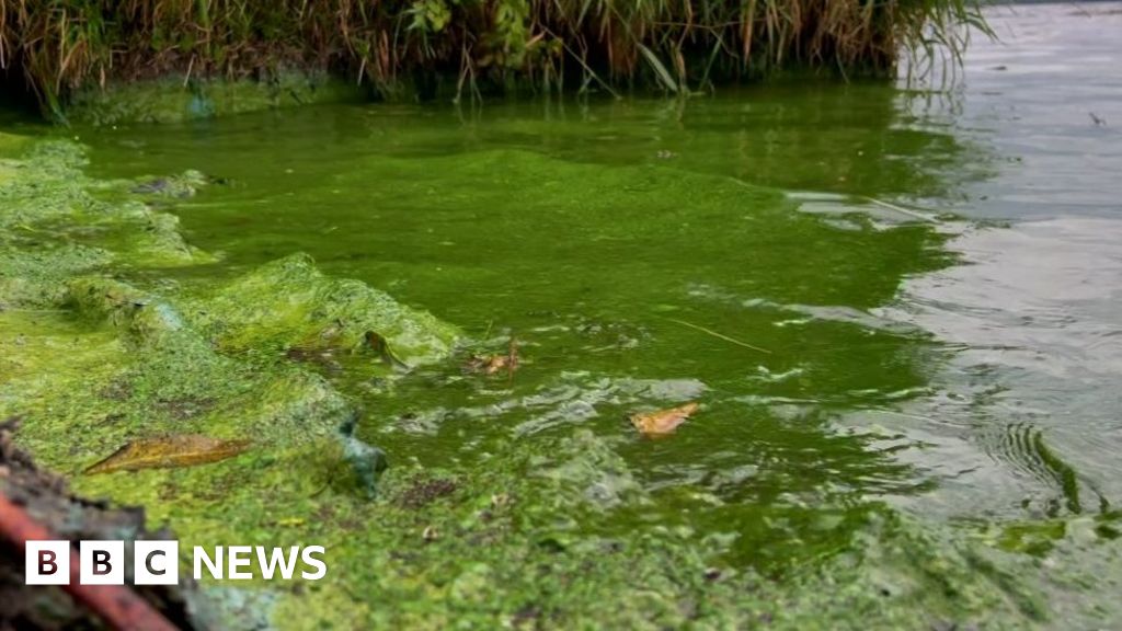 Lough Neagh a top priority for us, say O'Neill and Little-Pengelly