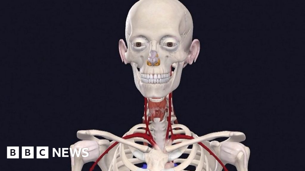 ‘It’s the most detailed female anatomy ever produced’