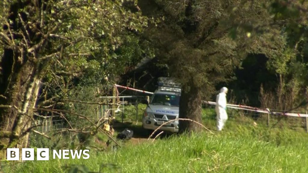 Arlene Arkinson: Forensic team at site of new search for teenager - BBC ...