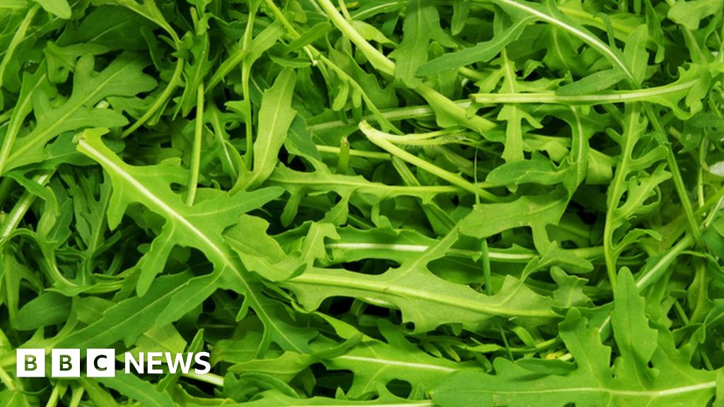 E. coli outbreak salad may be to blame BBC News
